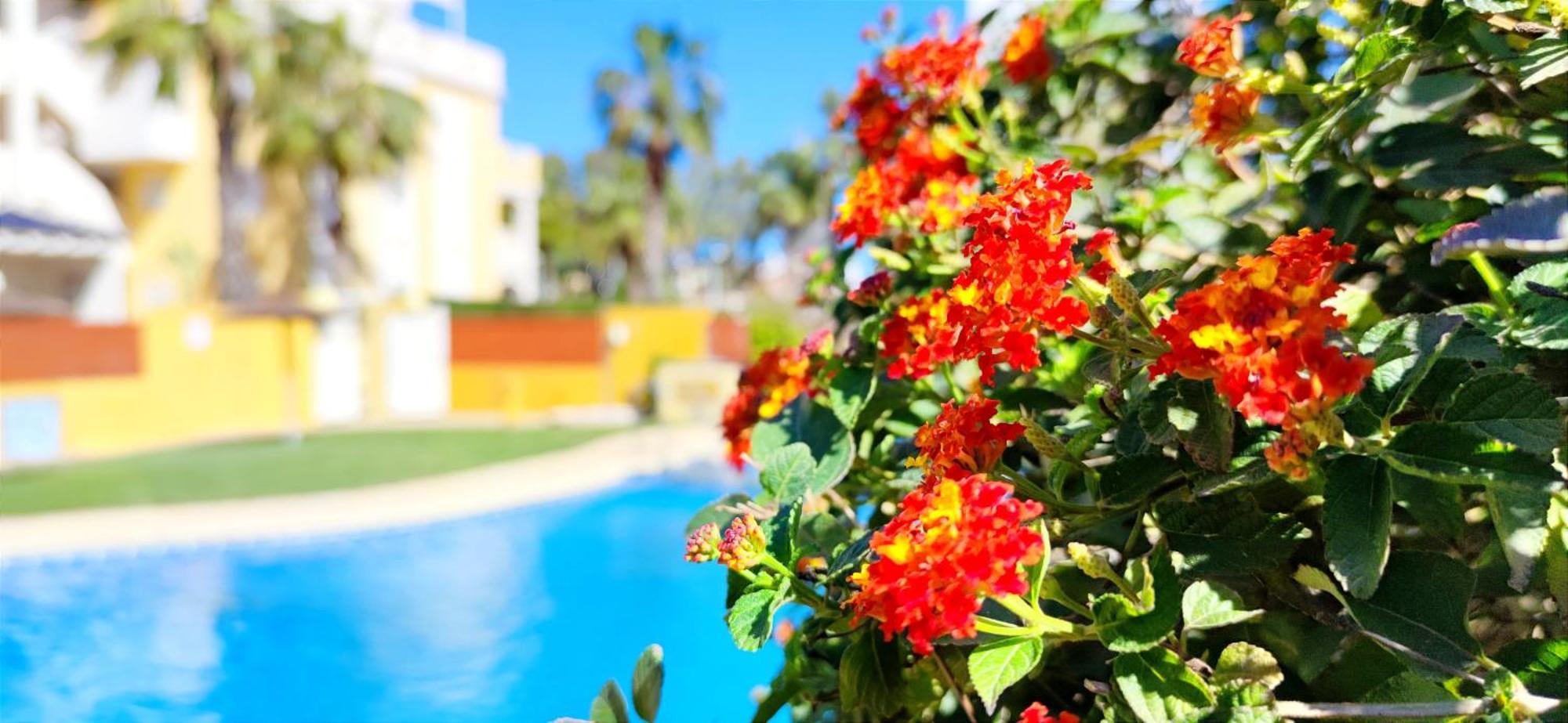 Apartamento Playa Sol By Denia Costa ภายนอก รูปภาพ